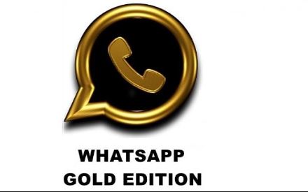 Delving Deeper into the World of WhatsApp Gold: A Closer Look