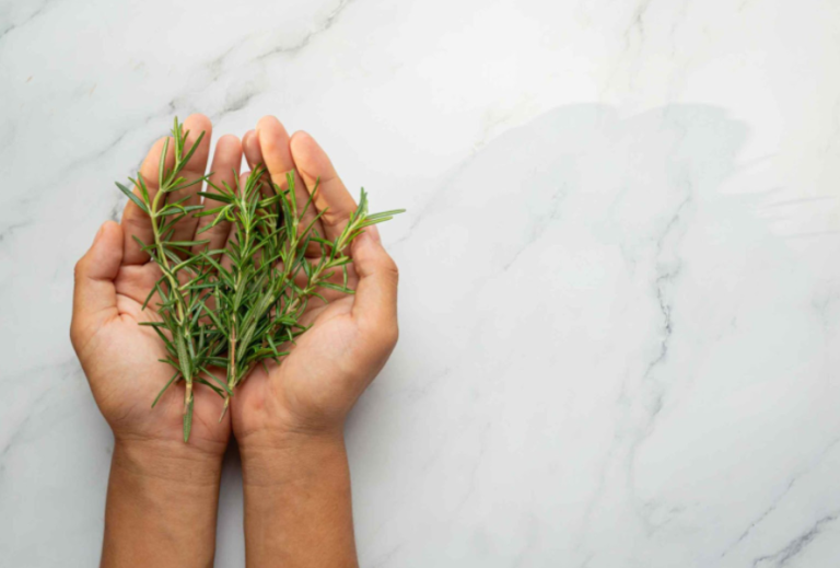 Stop Hair Fall Instantly with Rosemary Treatment